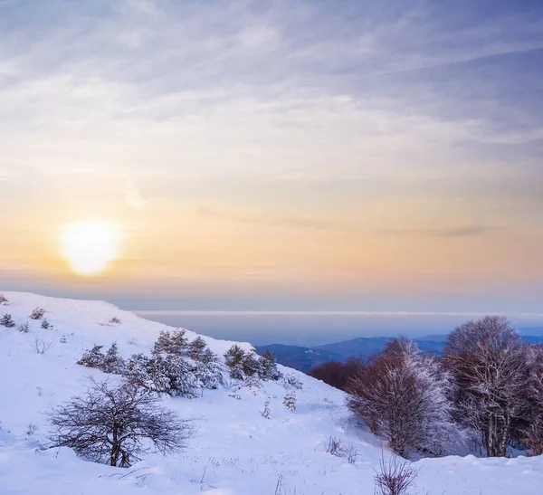 Montagne Dans Une Neige Coucher Soleil Pâle Scène Voyage Hiver — Photo