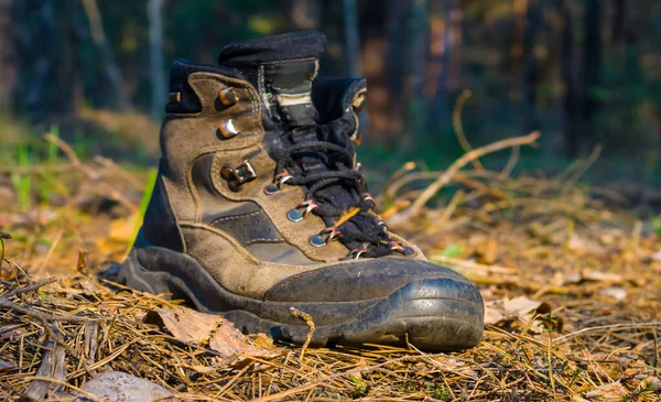 特写镜头老旅游靴停留在森林的沼泽地上 — 图库照片
