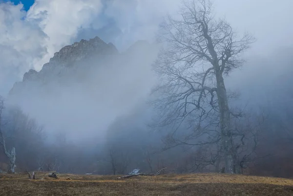 Bergkamm Dichtem Nebel Guter Natürlicher Reisehintergrund — Stockfoto