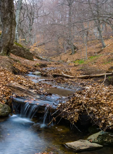 Kleiner Wasserfall Rauschenden Gebirgsfluss — Stockfoto