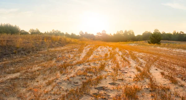 석양을 배경으로 펼쳐진 모래밭 — 스톡 사진