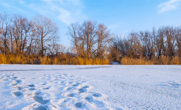 Vinter Frusen Flod Med Mänskliga Spår Snö Vinter Vandring Landskap — Stockfoto