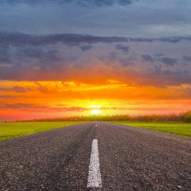 Gün batımında yeşil tarlaların arasında asfalt yol