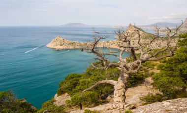 Kayalık sahilden zümrüt deniz koyuna manzara