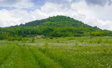Mavi bulutlu gökyüzünün altındaki yeşil dağ vadisi
