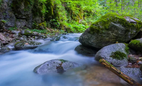 Mountain River Rushing Canyon — Stock Photo, Image