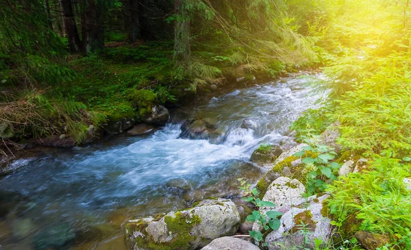 Mountain River Rushing Canyon — Stock Photo, Image