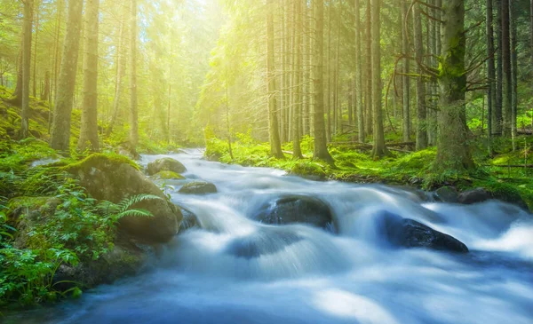 River Rushing Mountain Forest Sunny Natural Background — Stock Photo, Image