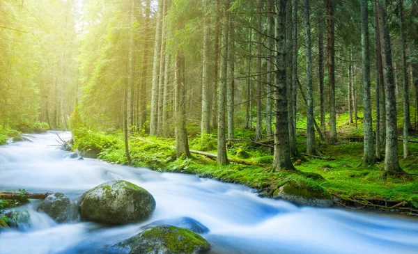 Fluss Rauscht Durch Bergwald Sonniger Natürlicher Hintergrund — Stockfoto