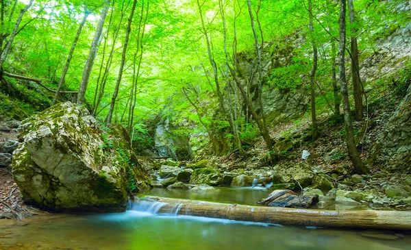 Pequeno Rio Montanha Correndo Através Floresta Cânion — Fotografia de Stock