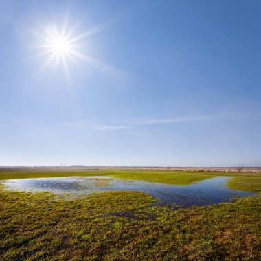 Işıl ışıl parlayan güneşin altında, mevsimlik arka planda, su basmış bahar çayırları