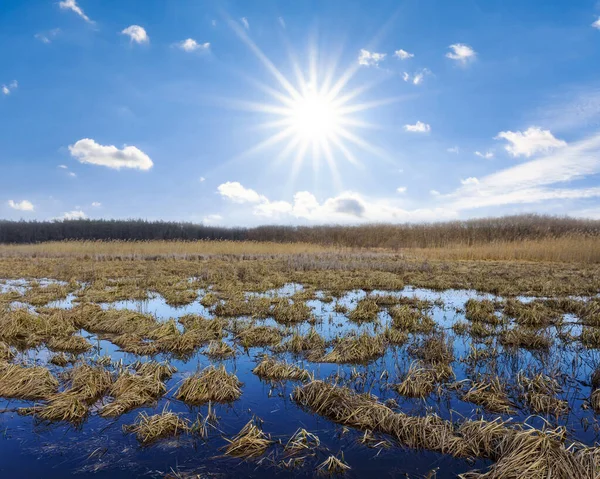 flooded spring prairie under a sparkle sun, seasonal outdoor background