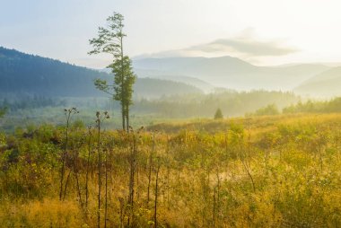 Gün batımında sisli bir dağ vadisi, açık havada sabahın erken saatlerinde