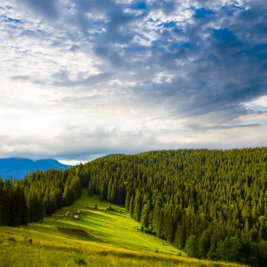 Güzel yeşil dağ vadisi mavi sisli gün batımında, güzel seyahat arka planı
