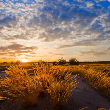 Güzel yaz çayırları gün batımında, doğal arka plan