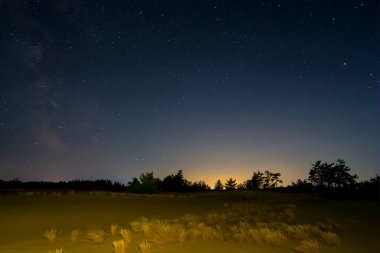 Yıldızlı bir gökyüzünün altında samanyolu ile gece çayırı