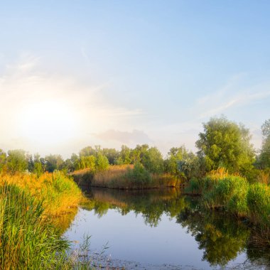 Gün batımında sessiz küçük bir göl, yaz kırsal arazisi.