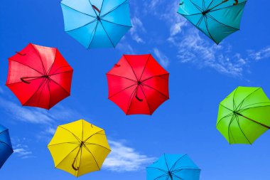 mavi gökyüzü arka planında varisli şemsiye sineği