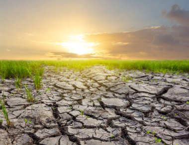 Gün batımında kurumuş toprak
