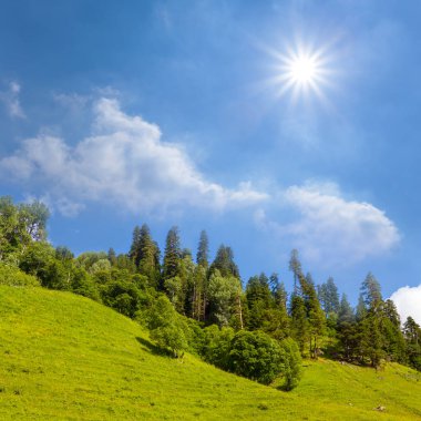 green mountain slope with forest under a sparkle sun