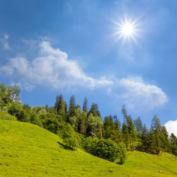 Grön Bergssluttning Med Skog Glittrande Sol — Stockfoto