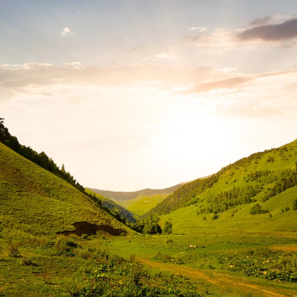 Green Mountain Valley Pale Sunset — Fotografia de Stock