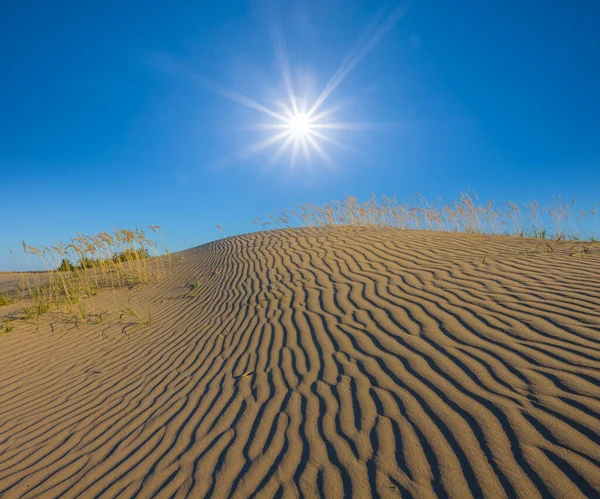 Sandy Dune Sparkle Sun Natural Sandy Desert Background — ストック写真