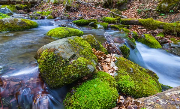 Small River Rushing Mountain Canyon — Fotografia de Stock