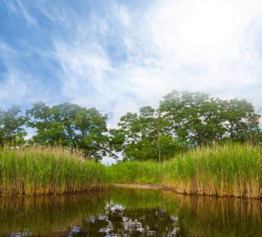 small quiet lake at the sunny day, countryside outdoor landscape