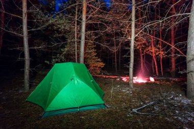 touristic tent in night forest near a camp fire, night touristic camp scene