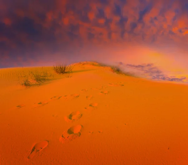 Αμμώδης Έρημος Κάτω Από Ένα Συννεφιασμένο Ουρανό Στο Δραματικό Ηλιοβασίλεμα — Φωτογραφία Αρχείου