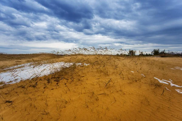 Sandy Desert Dark Dense Cloudy Sky — Stok fotoğraf