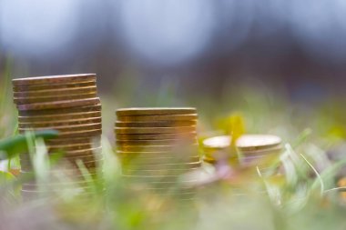 heap of coins lie in a grass and flowers, natural financial background