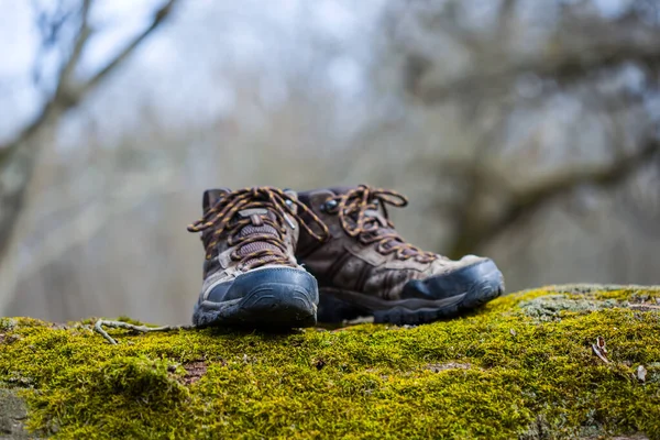特写一双旅游靴放在树干上 室外旅游背景 — 图库照片