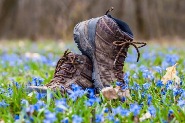 closeup pair of touristic boot on a forest glade with flowers