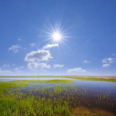 Işıldayan güneşin altında küçük sessiz bir göl, parlayan yeşil çayır manzarası, kırsal doğal arka plan