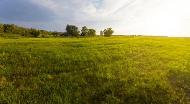 dramatik günbatımında yeşil kırsal alanlar, kırsal alan, tarımsal arka plan
