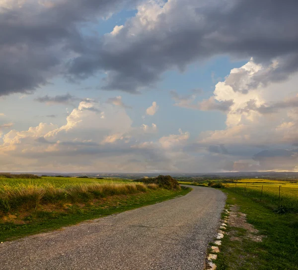 Asfaltová Cesta Mezi Zelenými Poli Pod Dramatickým Zataženým Nebem Venkovská — Stock fotografie