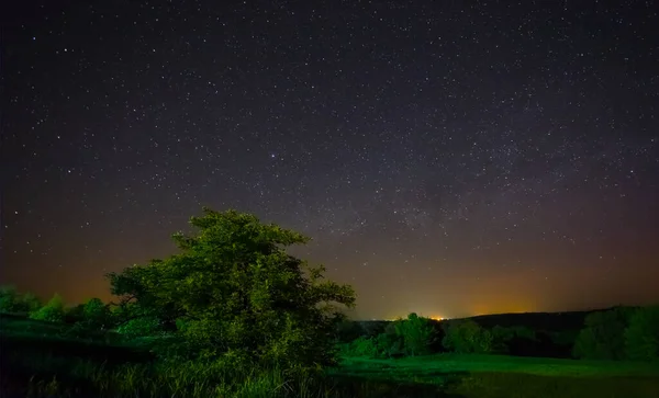 Cielo Estrellado Sobre Los Campos Verdes Escena Campo Nocturno — Foto de Stock