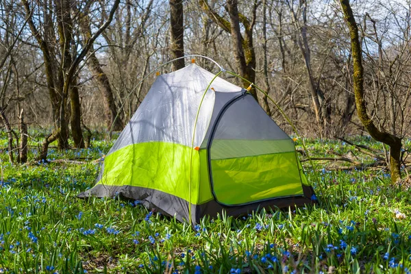 Kleines Touristisches Zelt Auf Waldlichtung Mit Blumen Reisehintergrund — Stockfoto