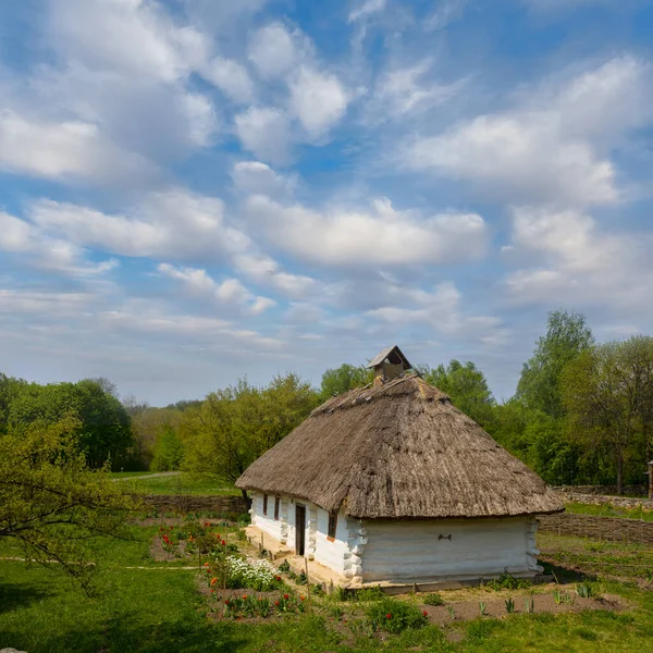 Ethnic Medieval Rural House Green Forest Glade Summer Countryside Scene — Fotografia de Stock