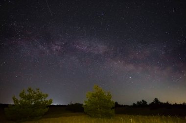 Gece yıldızlı gökyüzü ve samanyolu bozkır silueti.