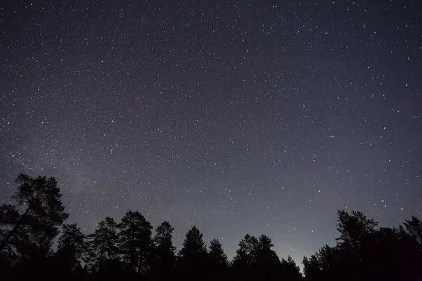 Noche Cielo Estrellado Sobre Silueta Del Bosque Noche Aire Libre — Foto de Stock