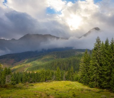 Güneşli bir günde yoğun bulutlarda yeşil sisli dağ vadisi