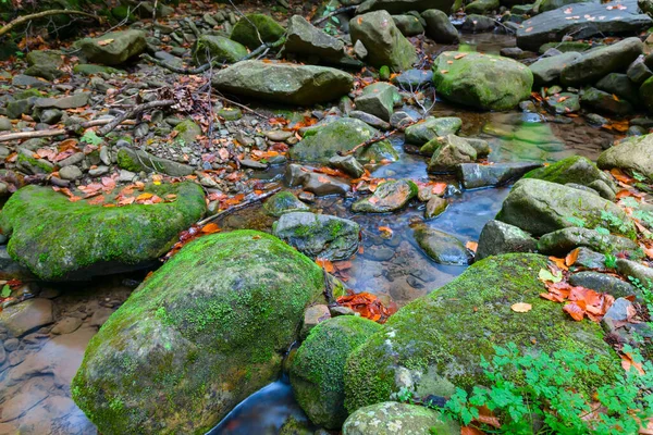 Malý Potok Spěchající Mezi Kameny Horském Kaňonu — Stock fotografie