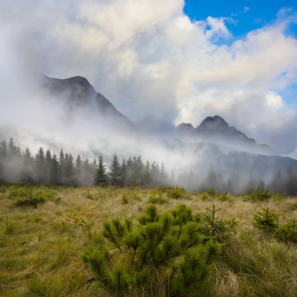 Green Mountain Valley Mist Dense Clouds — Stock Photo, Image