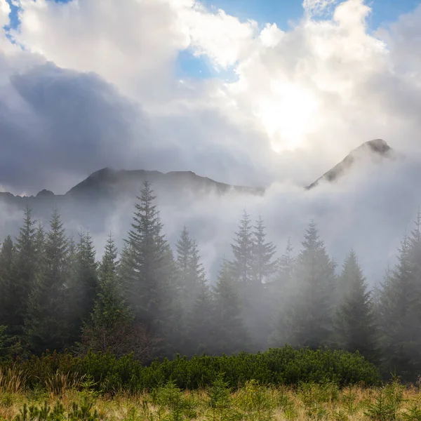 Groene Nevelige Bergvallei Dichte Wolken Zonnige Dag — Stockfoto