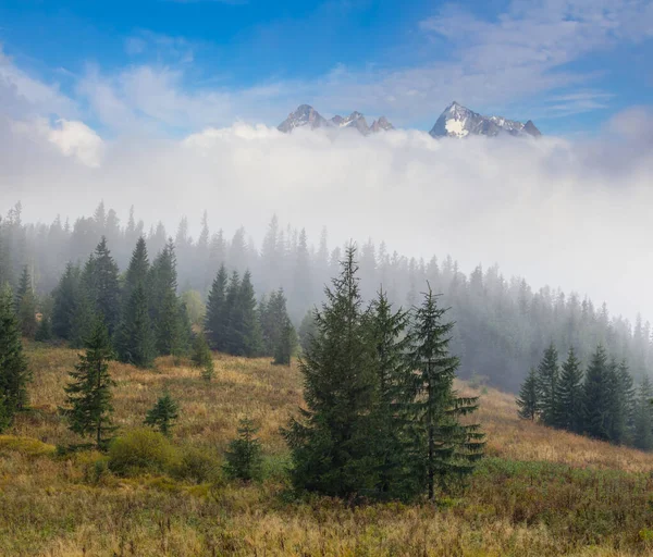 Πράσινο Κοιλάδα Του Βουνού Στην Ομίχλη Και Πυκνά Σύννεφα — Φωτογραφία Αρχείου