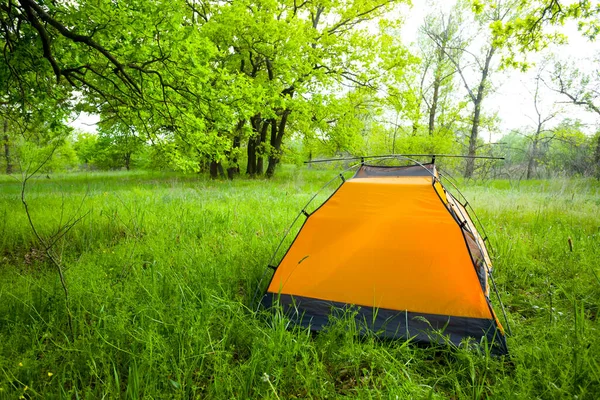 Arancione Tenda Turistica Soggiorno Sulla Radura Foresta Verde — Foto Stock