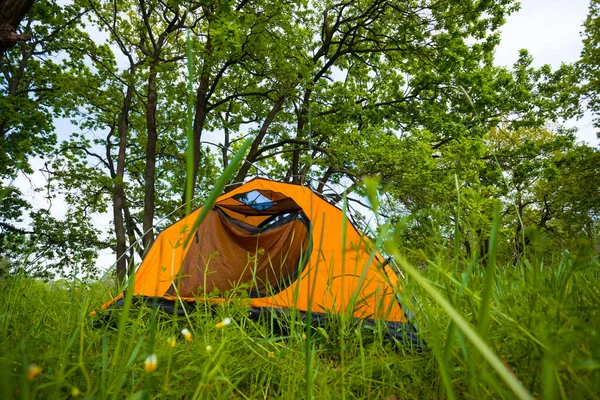 Primer Plano Naranja Tienda Turística Estancia Verde Bosque Glade — Foto de Stock